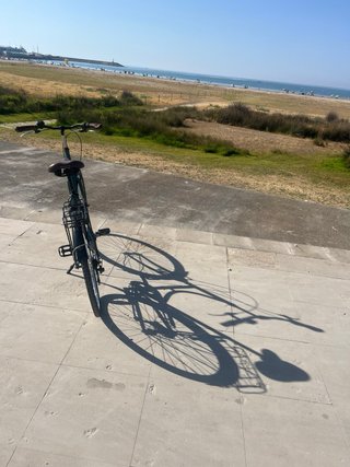 Bicicleta paseo vintage verde