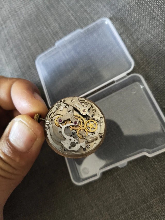 Reloj Credos Movimiento Venus 188