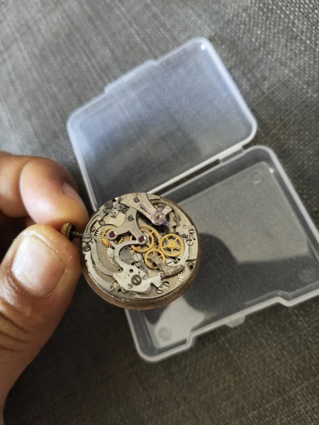 Reloj Credos Movimiento Venus 188