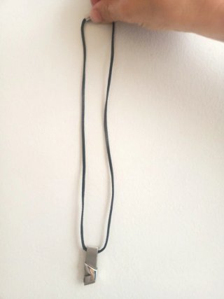 Collar Viceroy Plata y Negro