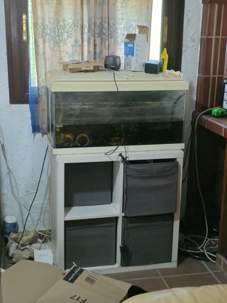 Pecera de cristal 200l con mueble y regalo una 60l