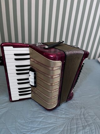Fisarmonica Hohner 48 bassi con cinghia regolabile