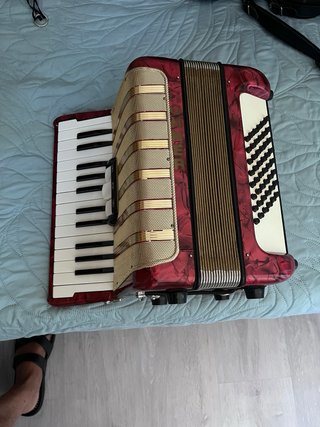 Fisarmonica Hohner 48 bassi con cinghia regolabile