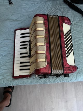 Fisarmonica Hohner 48 bassi con cinghia regolabile