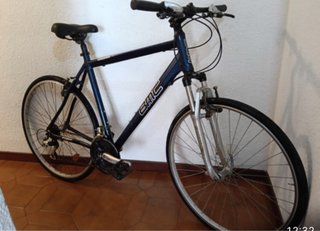 Hibrida de Calidad rod 28"