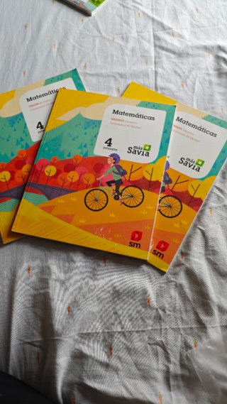 Matemáticas 4 Primaria SM Más Savia