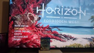 Horizon Forbidden West PS4 PIÑA