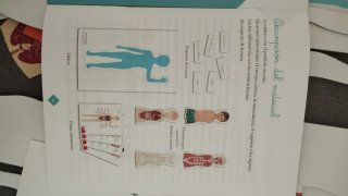 Puzzle Montessori Cuerpo Humano Clementoni