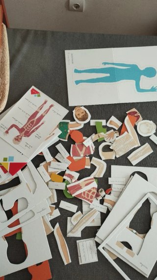 Puzzle Montessori Cuerpo Humano Clementoni