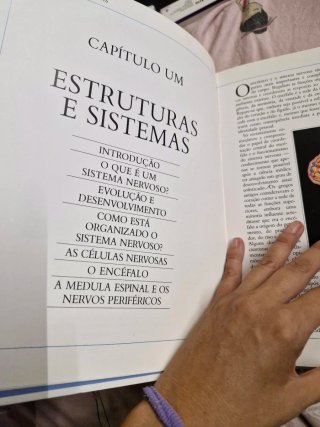 Livro:cerebro e sistema nervoso