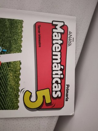 Libros de matemáticas. De Anaya. 5° de primaria.