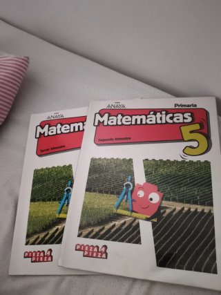 Libros de matemáticas. De Anaya. 5° de primaria.