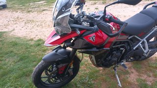 Triumph Tiger 900 GT Pro granate