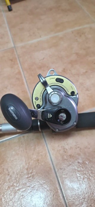 Carrete Shimano Tyrnos II 2 vel + caña Daiwa