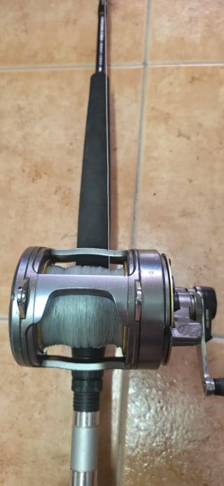 Carrete Shimano Tyrnos II 2 vel + caña Daiwa