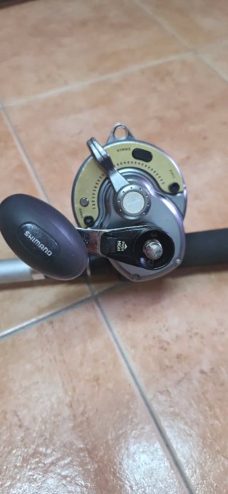 Carrete Shimano Tyrnos II 2 vel + caña Daiwa