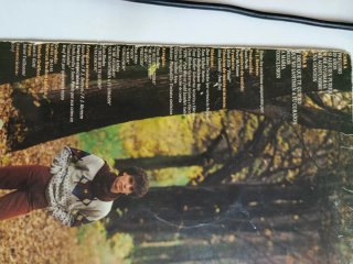 Pecos 20 años - Vinilo Pop Rock Nacional