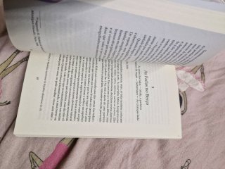 Livro:elfos e fadas
