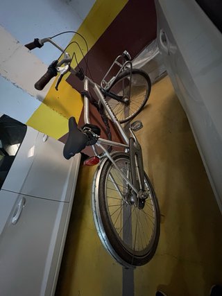 Bicicleta Holandesa Gazelle Worker Con candado