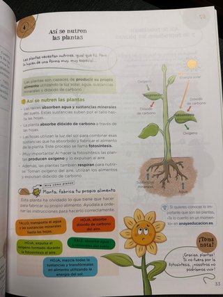 Ciencias de la Naturaleza, 3 Primaria