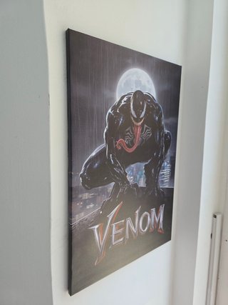 Quadro Venom 40x60 Cm