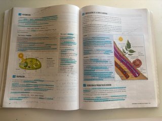 Biología y geología 1ºbachillerato