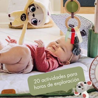 Gimnasio bebé Tiny Love Luxe
