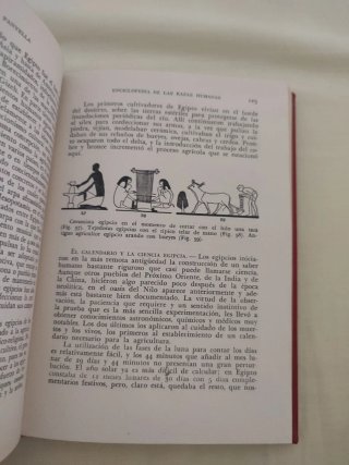 Enciclopedia razas humanas