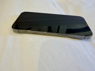 iPhone 13 Pro 256GB Negro/Gris