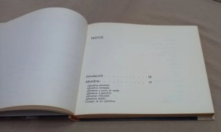 Guía Práctica del Arte Manual