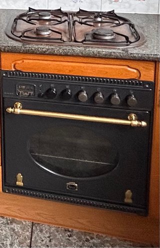 Horno eléctrico y fuegos gas