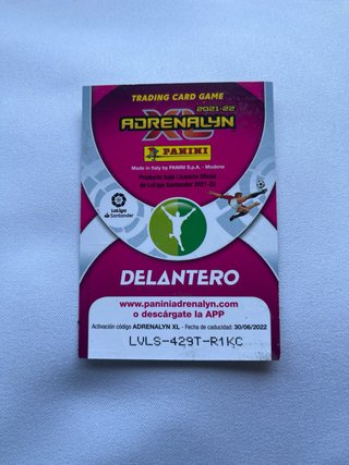 Cromos Balón de Oro Panini