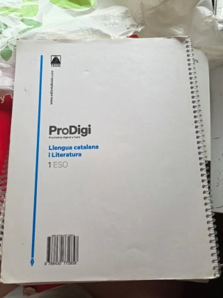 Quadern ProDigi. Llengua catalana i Literatura ...