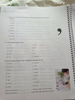 Quadern ProDigi. Llengua catalana i Literatura ...