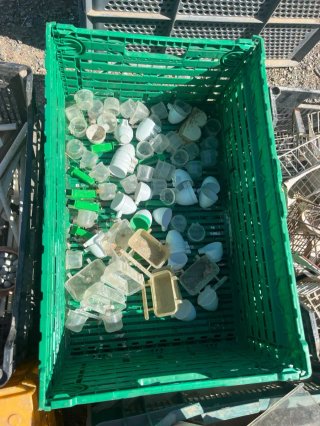 Accesorios para pájaros