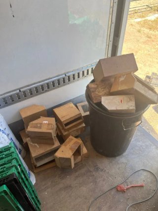 Accesorios para pájaros