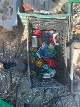 Accesorios para pájaros