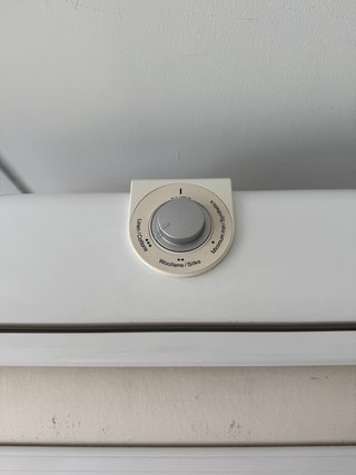 Plancha Miele Profesional