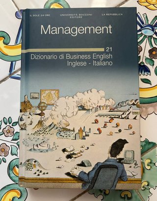 Dizionari lingua straniera assortiti travel