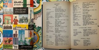 Dizionari lingua straniera assortiti travel