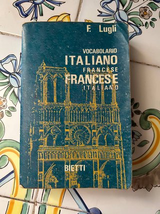 Dizionari lingua straniera assortiti travel