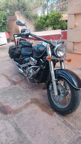 Suzuki CWN Bolusia 800 del 2004