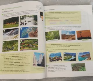 Libro de SCIENCES 4. Con algunas anotaciones.
