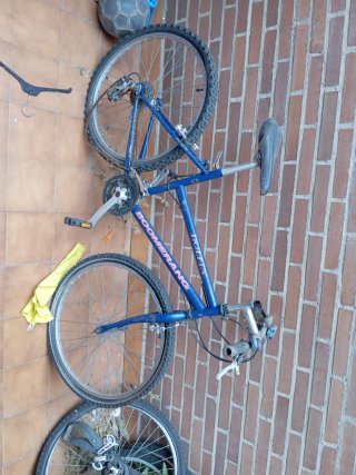 Bicicleta Boomerang Azul