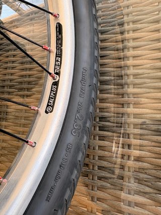 Buje Salt Plus con rin salt plus cubierta flybikes