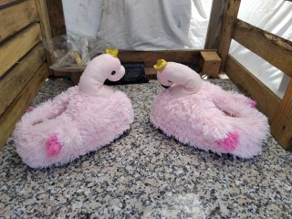 Pantufas de Flamingo Rosa