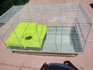 Jaula para hámster con accesorios