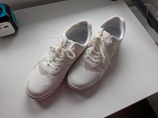 Lote zapatillas