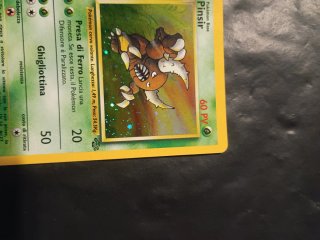 Pinsir 9/64 Jungle Ita Holo