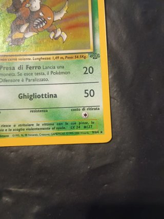 Pinsir 9/64 Jungle Ita Holo